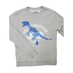 Crew Cuts Like Lightning Boys LS Sweatshirt Gray w/Velociraptor Youth Size 14